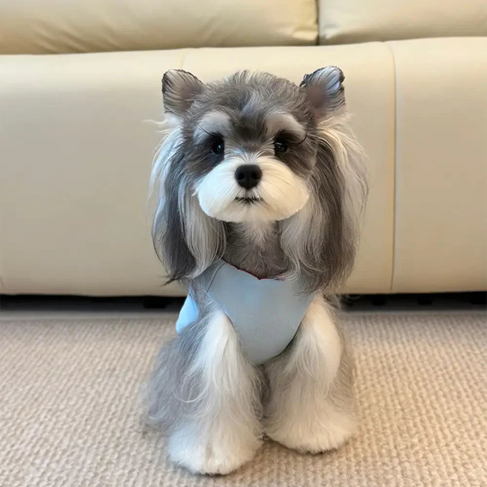 Funktionale farbblockierte, doppelseitige, umkehrbare Hundeweste.