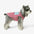 Funktionale farbblockierte, doppelseitige, umkehrbare Hundeweste.