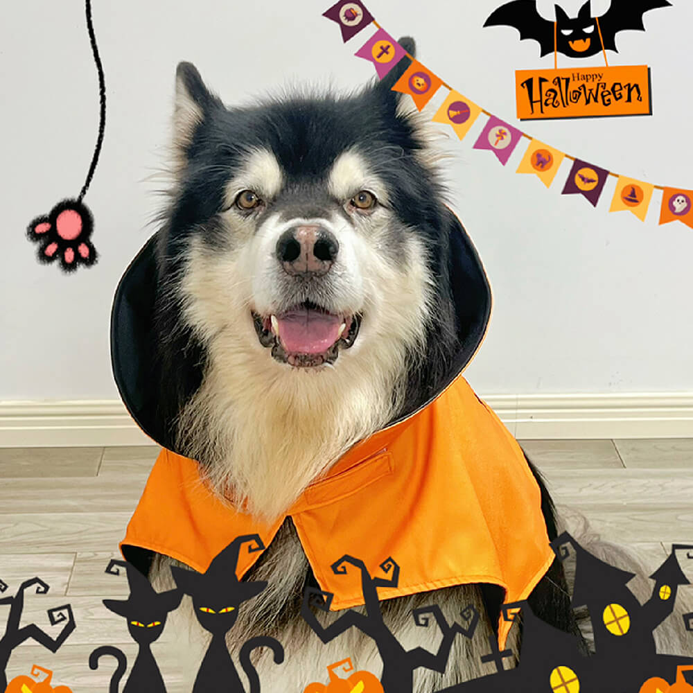 Halloween Fledermausflügel Kostüm Hund Fledermaus Umhang