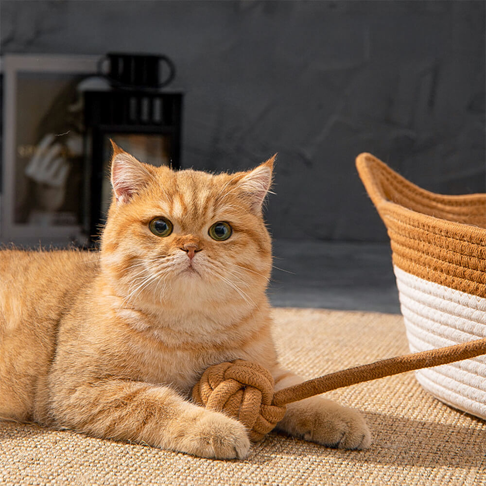 Handgemachtes Gemütliches Vielseitig Verwendbares Langlebiges Gewebtes Katzennestbett