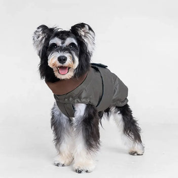 Hochgeschlossenes gesteppte Hundeweste – warmer modischer Wintermantel