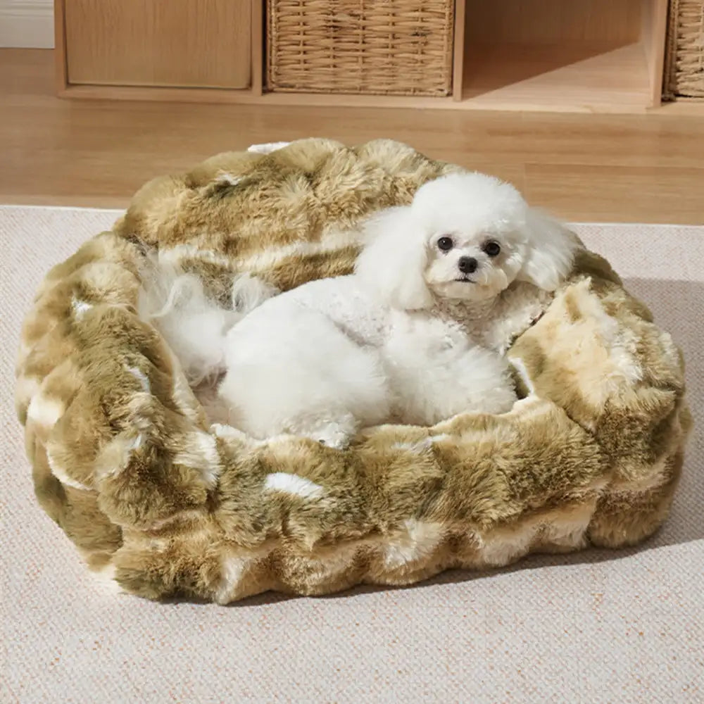 Dschungel Geheimnis Batik Plüsch Kuschelhund und Katzen Sofa Bett