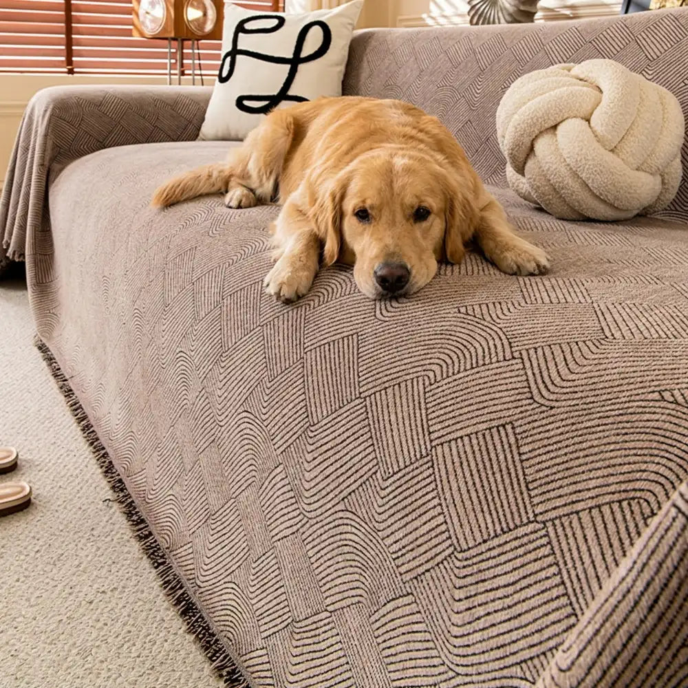 Linienmuster Chenille Bequemer Kratzfester Sofaschoner Couchbezug