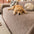 Linienmuster Chenille Bequemer Kratzfester Sofaschoner Couchbezug
