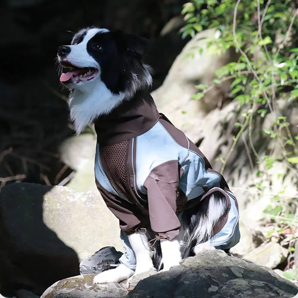 Mehrzweck-Wasserdichter Winddichter Hundewindbreaker-Mantel für mittelgroße und große Hunde