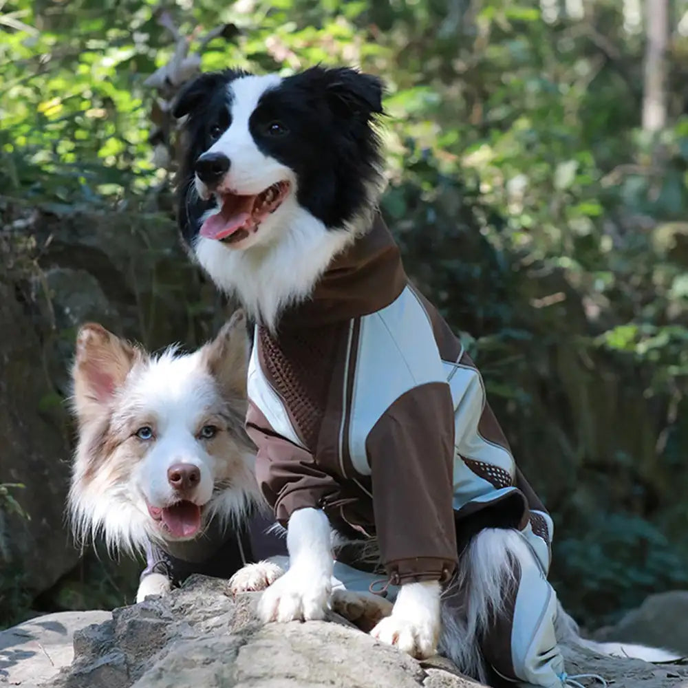 Mehrzweck-Wasserdichter Winddichter Hundewindbreaker-Mantel für mittelgroße und große Hunde
