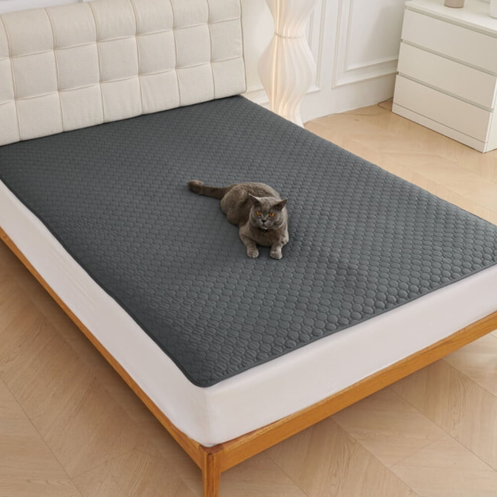 Mehrzweck-Absorbierbare Auslaufsichere Waschbare Haustierunterlage für Sofa und Bett