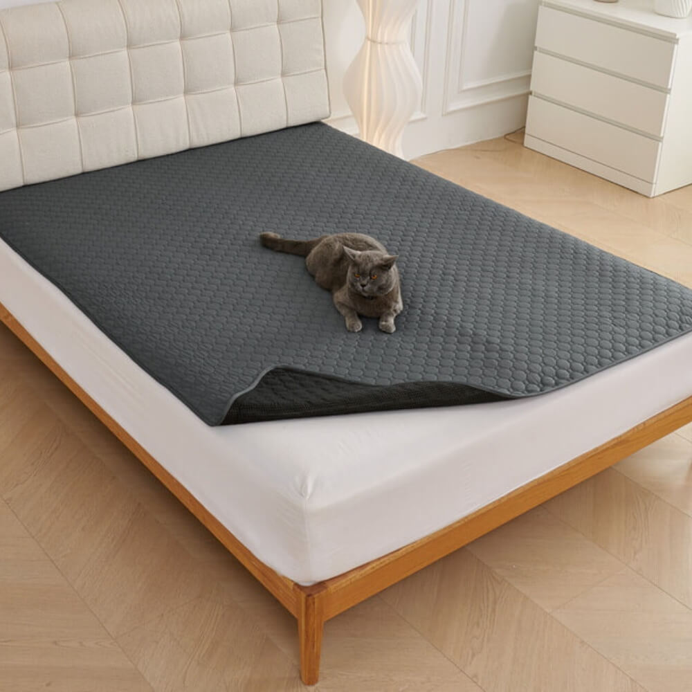 Mehrzweck-Absorbierbare Auslaufsichere Waschbare Haustierunterlage für Sofa und Bett