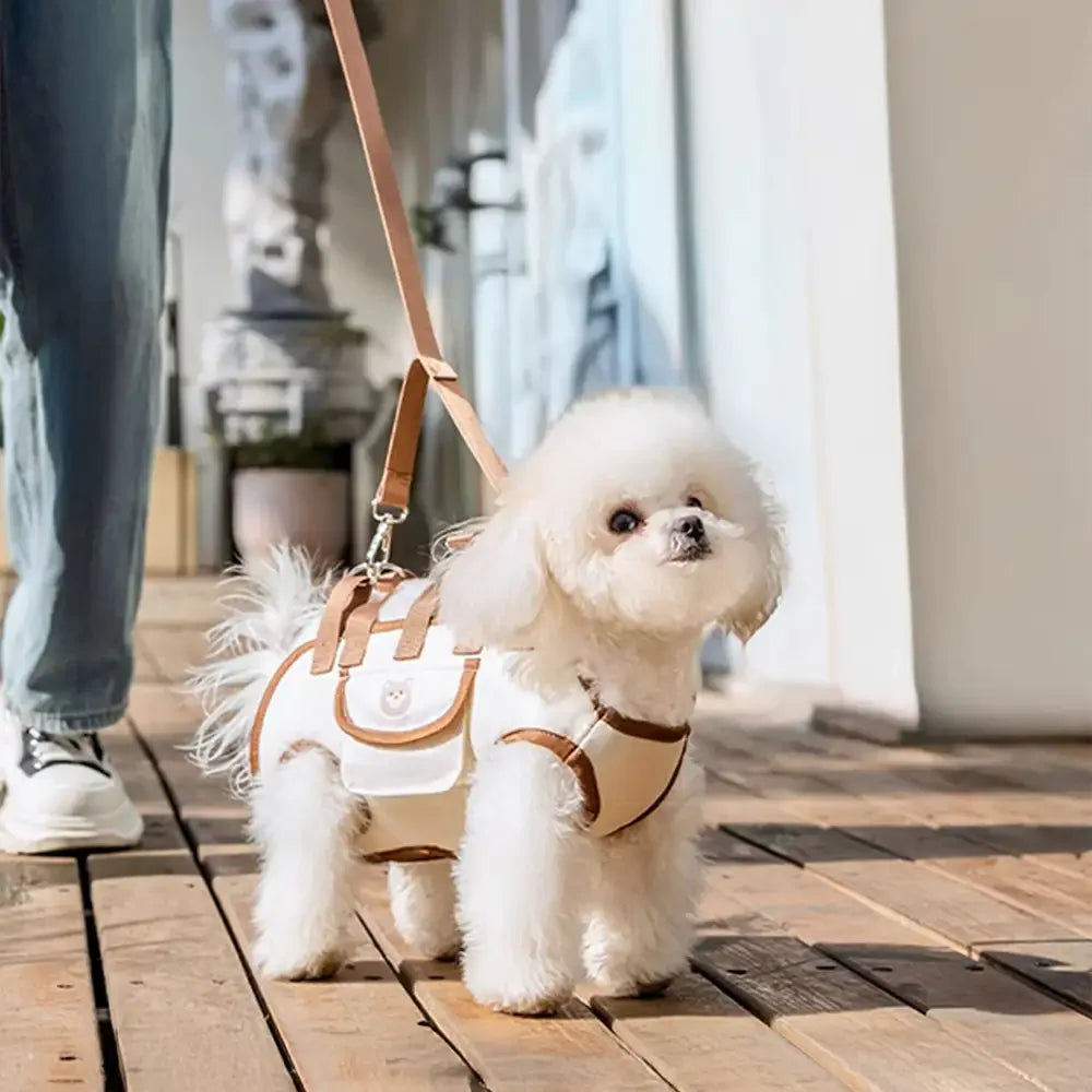 Multifunktionaler tragbarer Zug-Trage-Rucksack für kleine Hunde