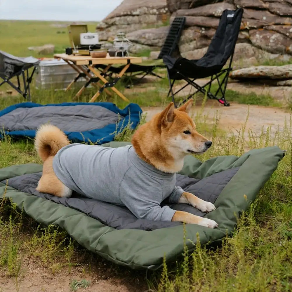 Außen-Campingplatz Feuchtigkeitsbeständiges und wasserdichtes tragbares Hundebett