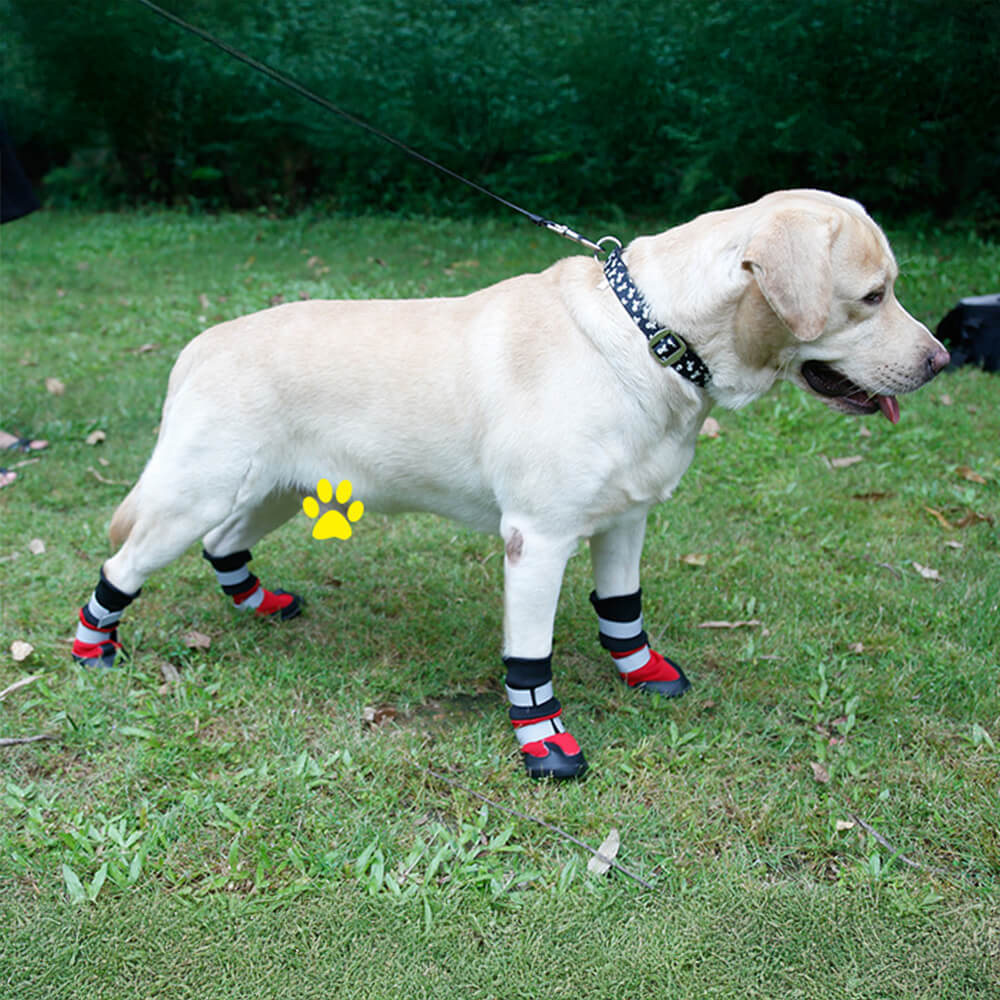 Wasserdichte Warme Langlebige Reflektierende Hundestiefel für den Außenbereich