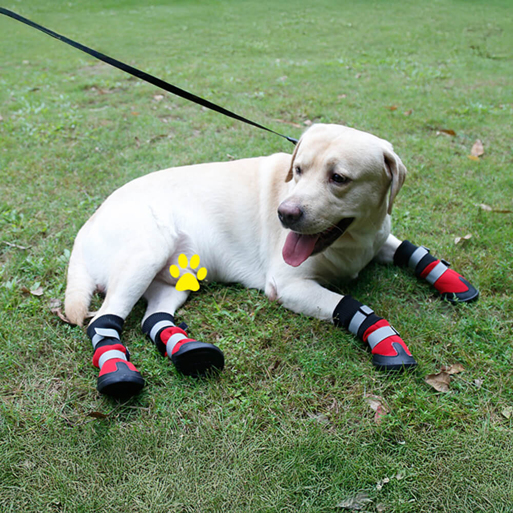 Wasserdichte Warme Langlebige Reflektierende Hundestiefel für den Außenbereich