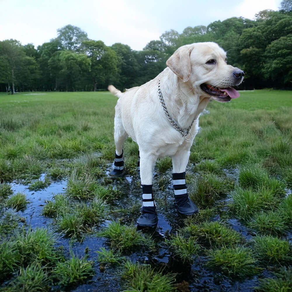 Wasserdichte Warme Langlebige Reflektierende Hundestiefel für den Außenbereich