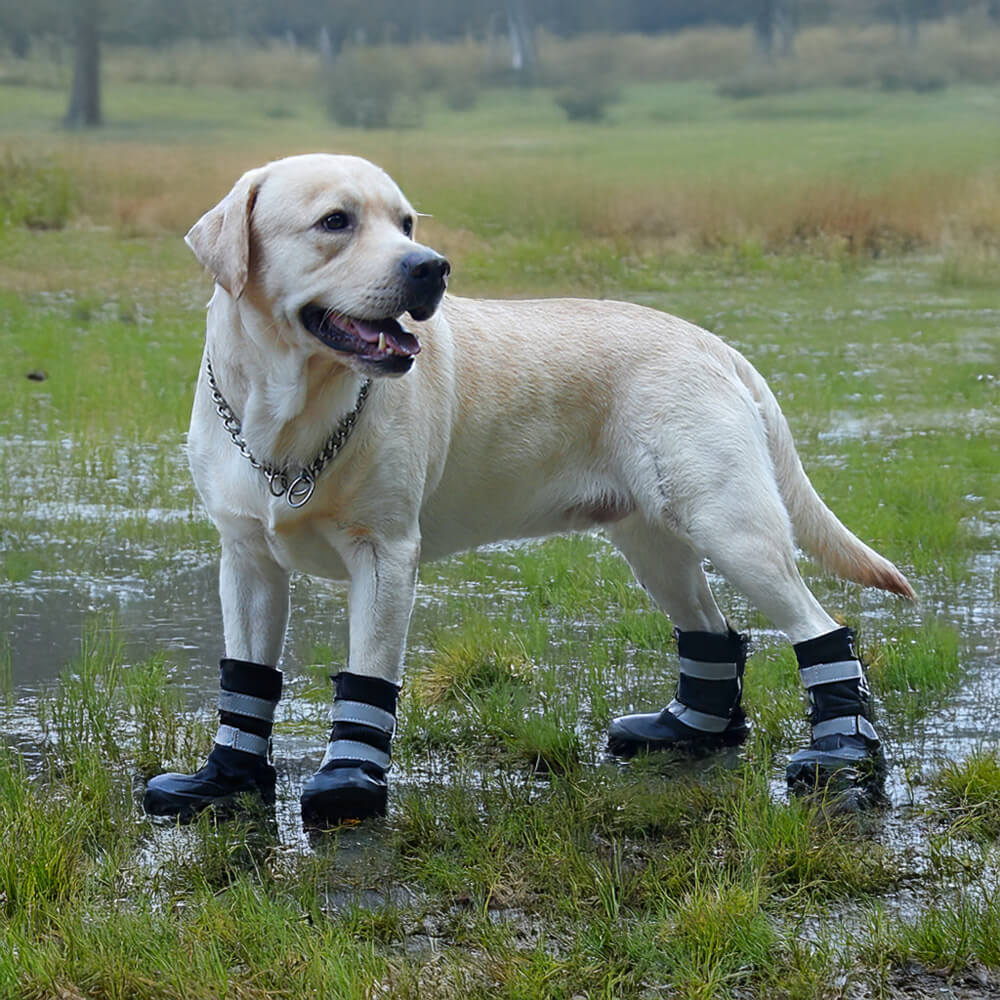 Wasserdichte Warme Langlebige Reflektierende Hundestiefel für den Außenbereich