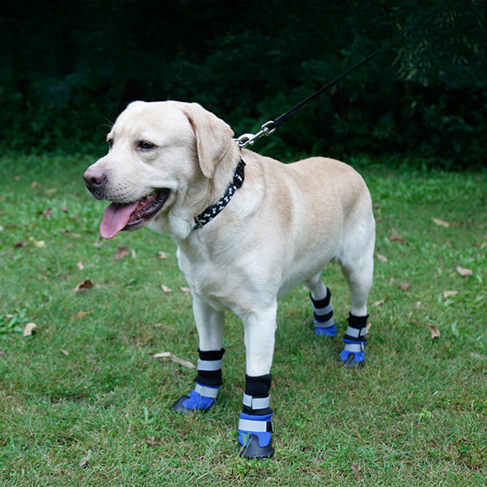 Wasserdichte Warme Langlebige Reflektierende Hundestiefel für den Außenbereich