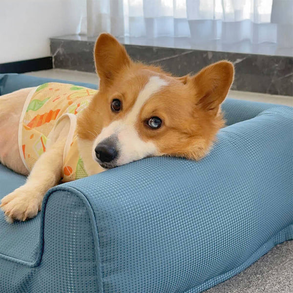 Wasserdichtes Oxford Abnehmbares Waschbares Bolster-Hundebett Sofa