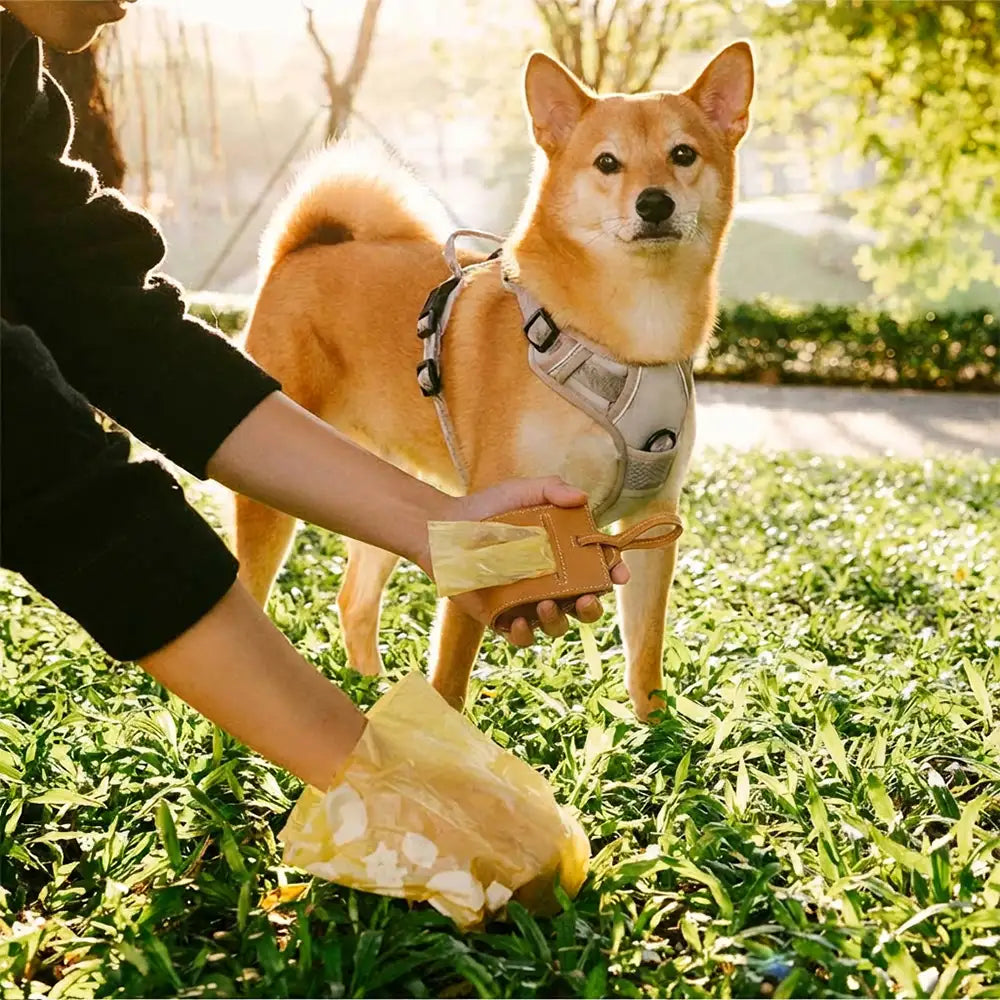 PU-Leder Hundekotbeutelspender