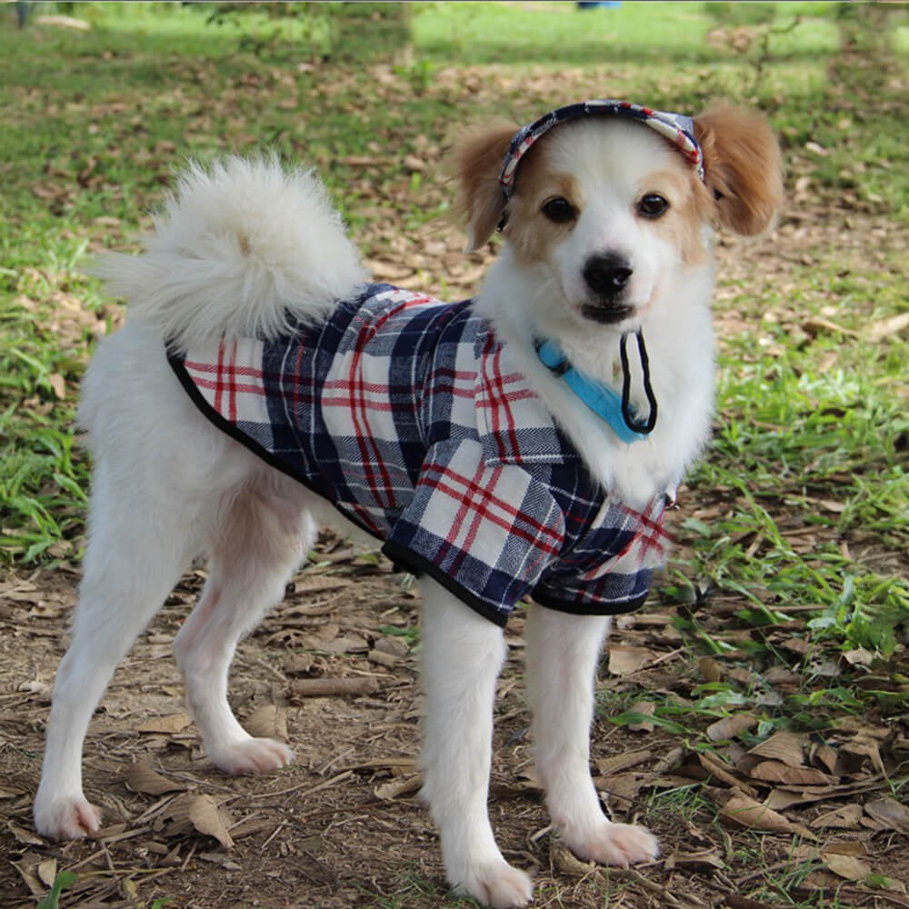 Karierter Oxford Sonnenschutz Verstellbares Hundehut- und Mantel-Set