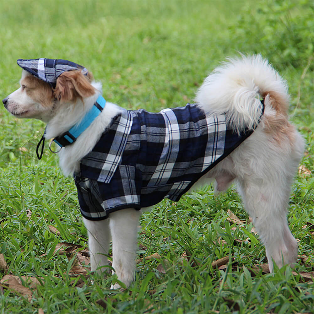 Karierter Oxford Sonnenschutz Verstellbares Hundehut- und Mantel-Set