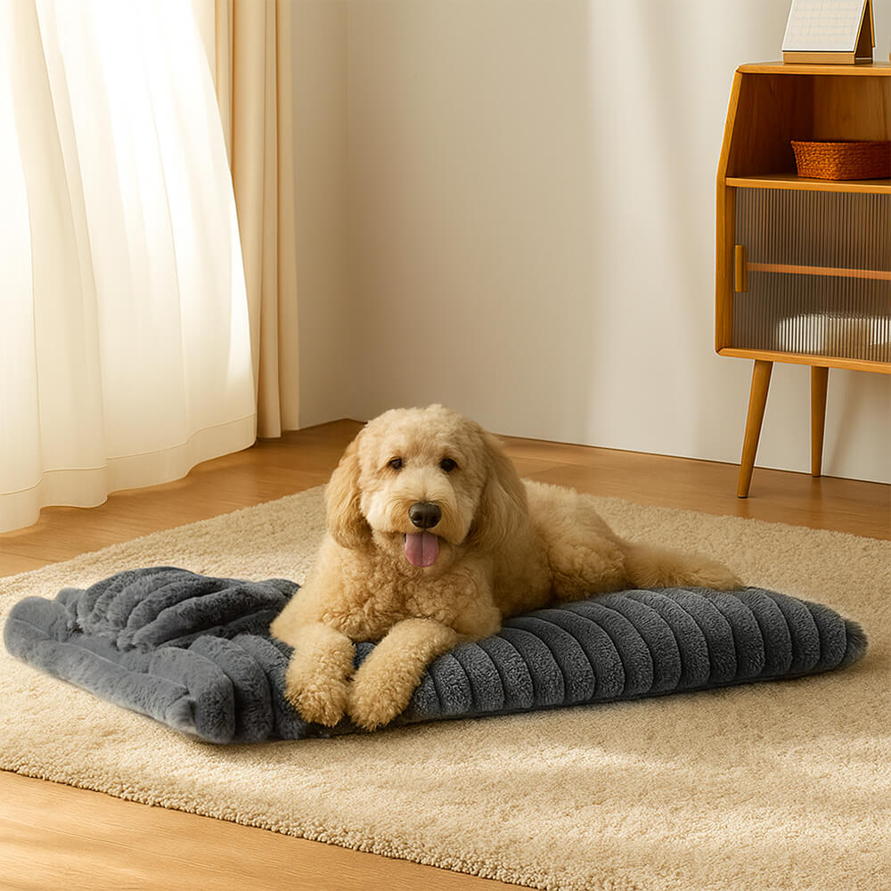 Plüschiges, flauschiges, dickes, beruhigendes Hundebett mit Kissen
