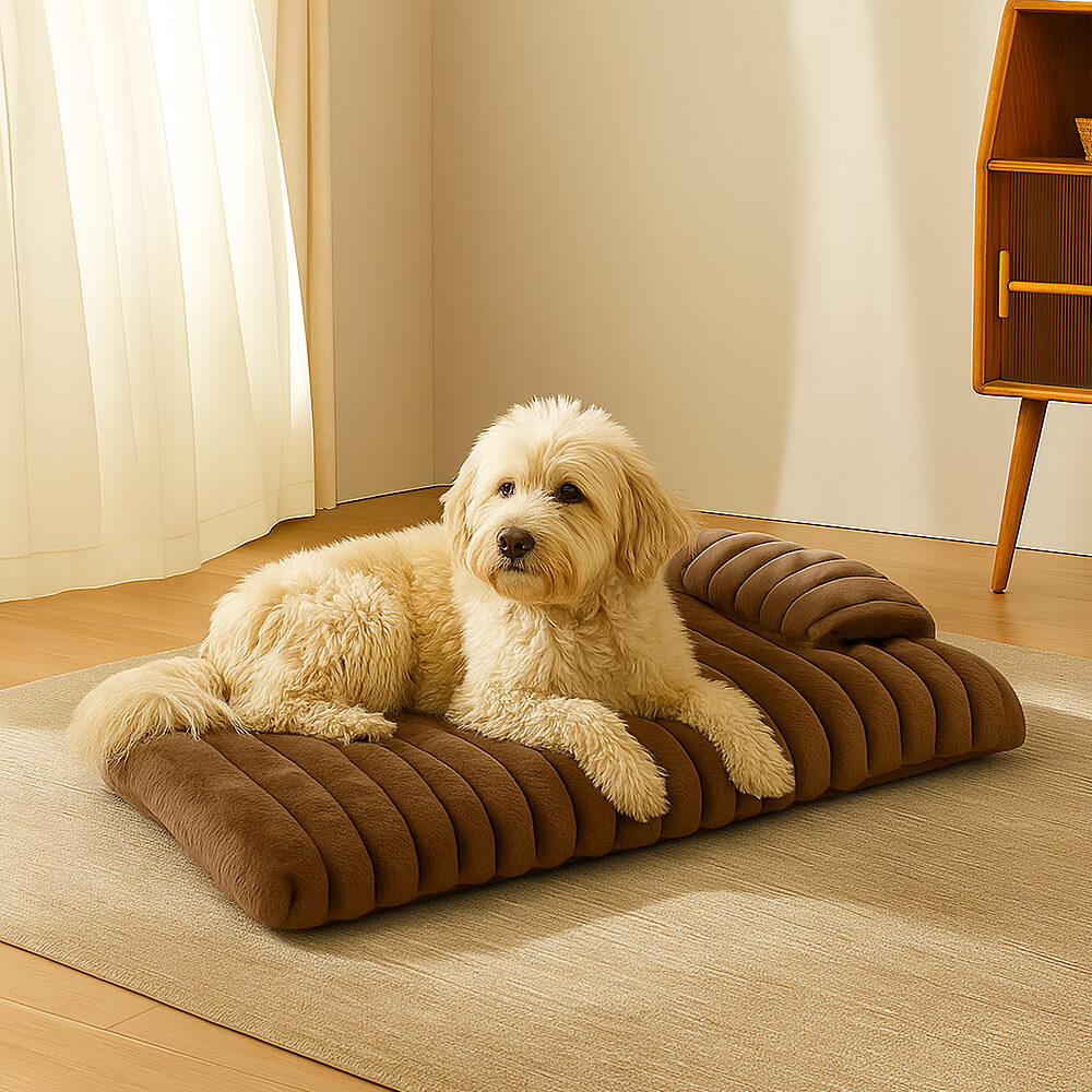 Plüschiges, flauschiges, dickes, beruhigendes Hundebett mit Kissen