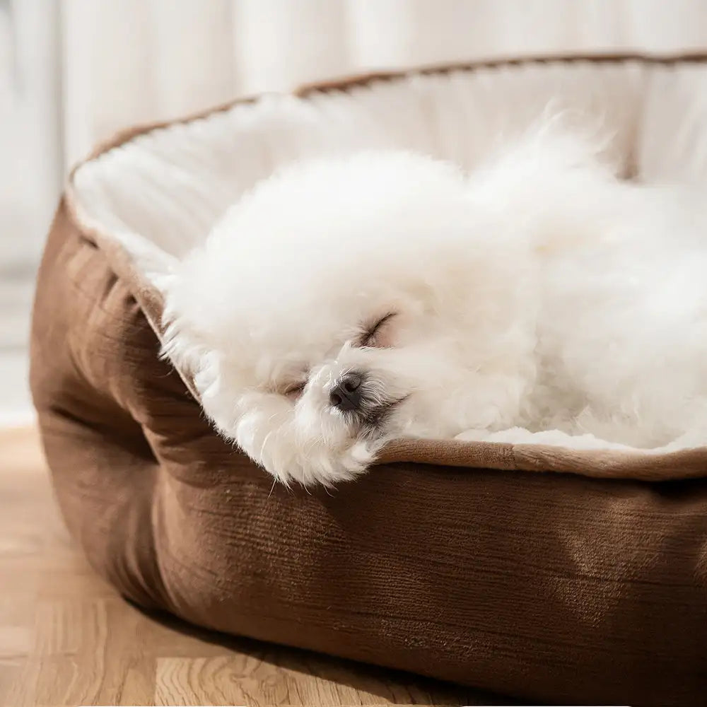Plüsch Warm Bequem Rund Tiefschlaf Hundebett