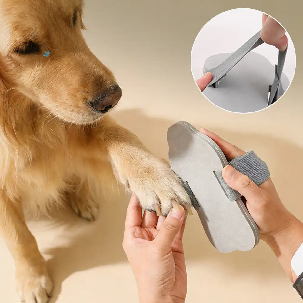 Tragbare Hundekralle Kratztafel