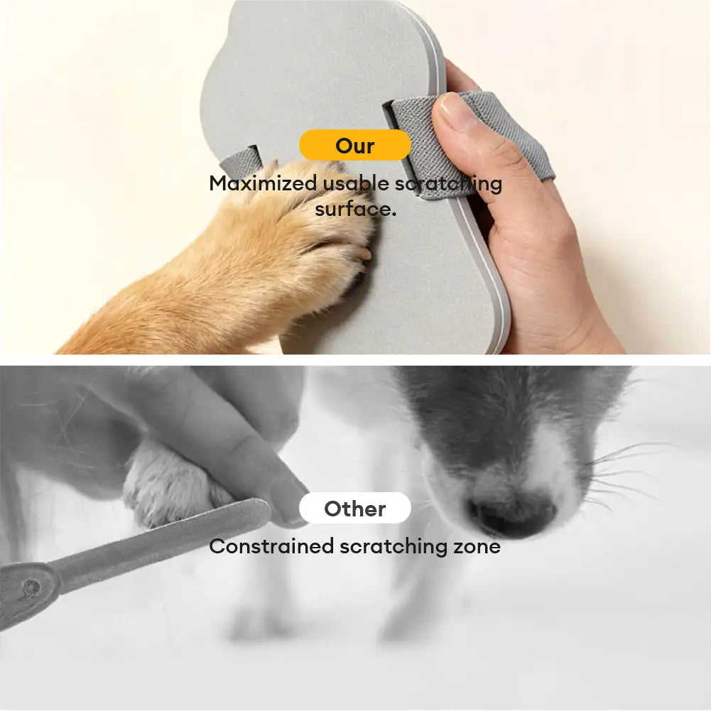 Tragbare Hundekralle Kratztafel