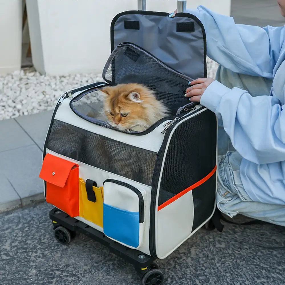 Tragbarer rollender Haustier-Rucksackträger mit abnehmbarem Trolley
