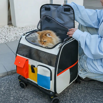 Tragbarer rollender Haustier-Rucksackträger mit abnehmbarem Trolley