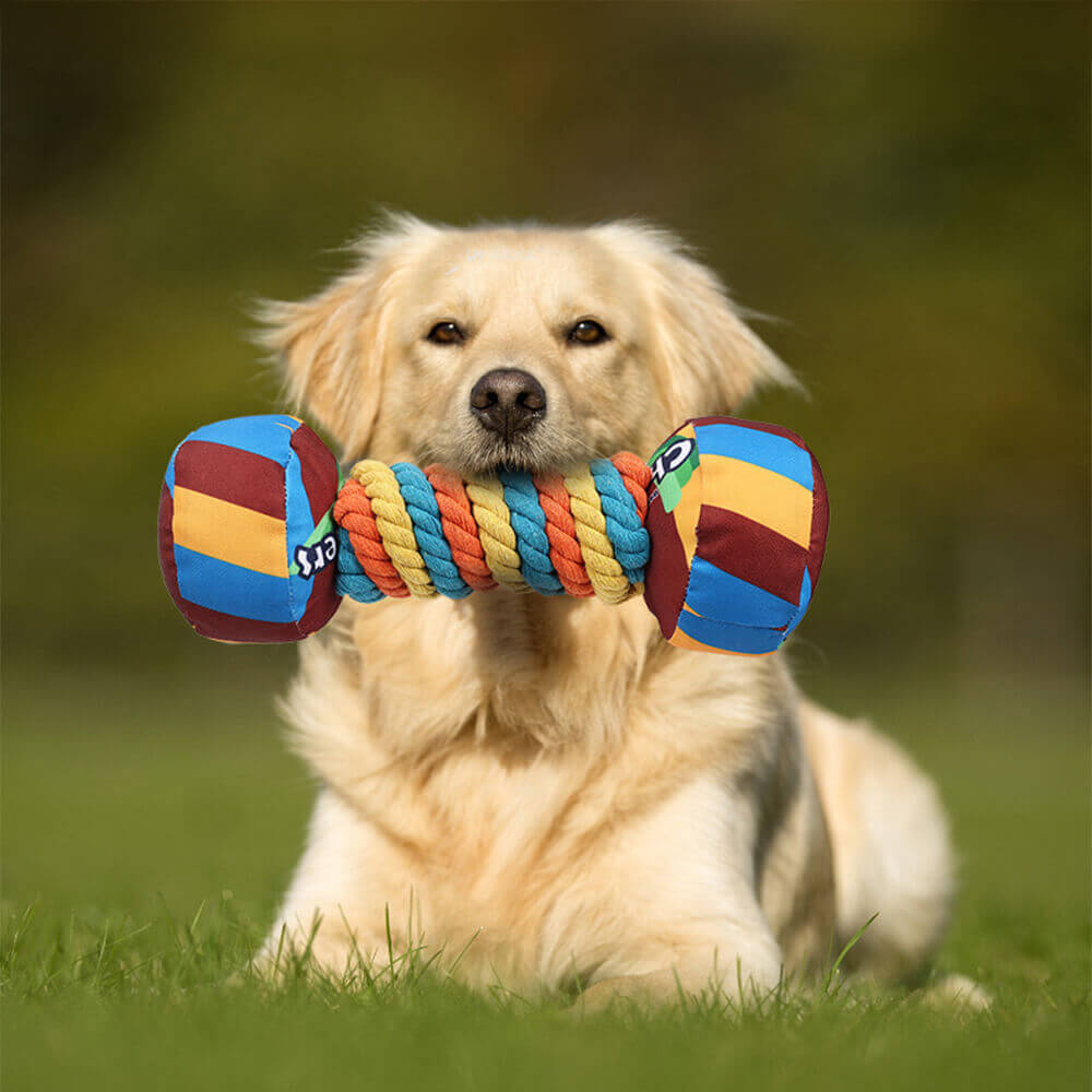 Interaktives Hundespielzeug mit Quietschender Langlebiger Hantel aus Seil in Regenbogenfarben