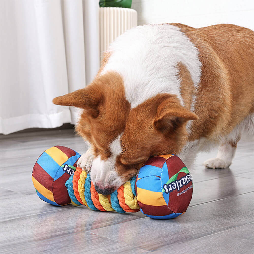 Interaktives Hundespielzeug mit Quietschender Langlebiger Hantel aus Seil in Regenbogenfarben