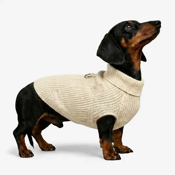 Retro Kabelstrick Dackel und kleiner bis mittelgroßer Hundepullover