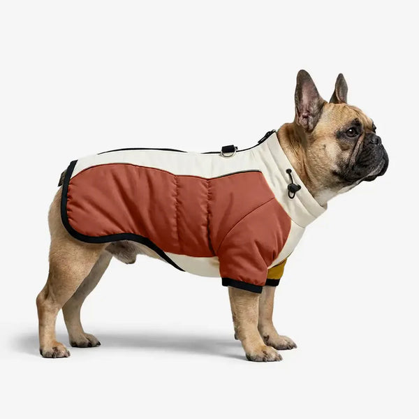 Retro-Farbenblock-Fleecegefütterter warmer Hundemantel mit Leinenverschluss