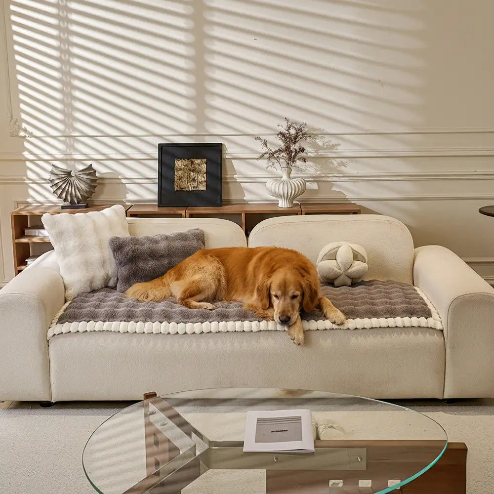 Weicher künstlicher Kaninchenplüsch dicke hautfreundliche rutschfeste Sofabezug