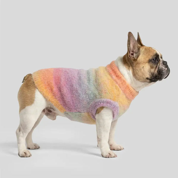 Weicher warmer dick gestrickter Hundepullover – Entworfen für Dackel, französische Bulldoggen und Möpse