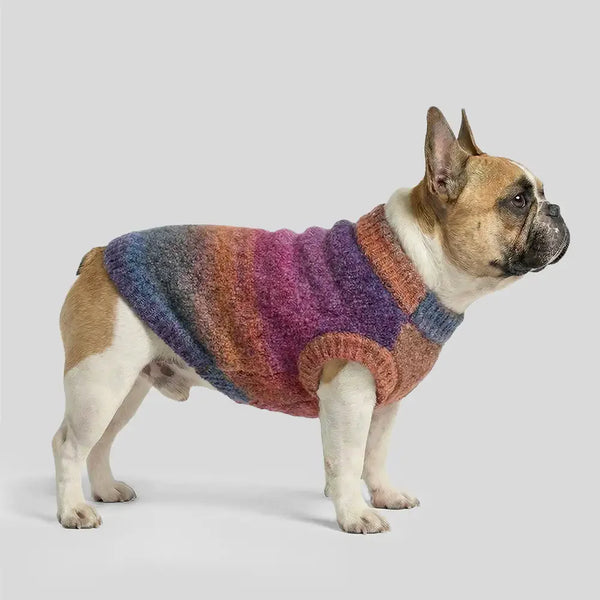 Weicher warmer dick gestrickter Hundepullover – Entworfen für Dackel, französische Bulldoggen und Möpse