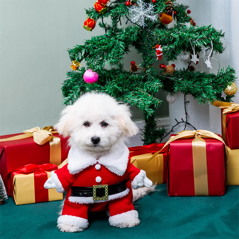 Stereoskopische Weihnachten Weihnachtsmann Outfit Hut Cosplay Hundekostüm