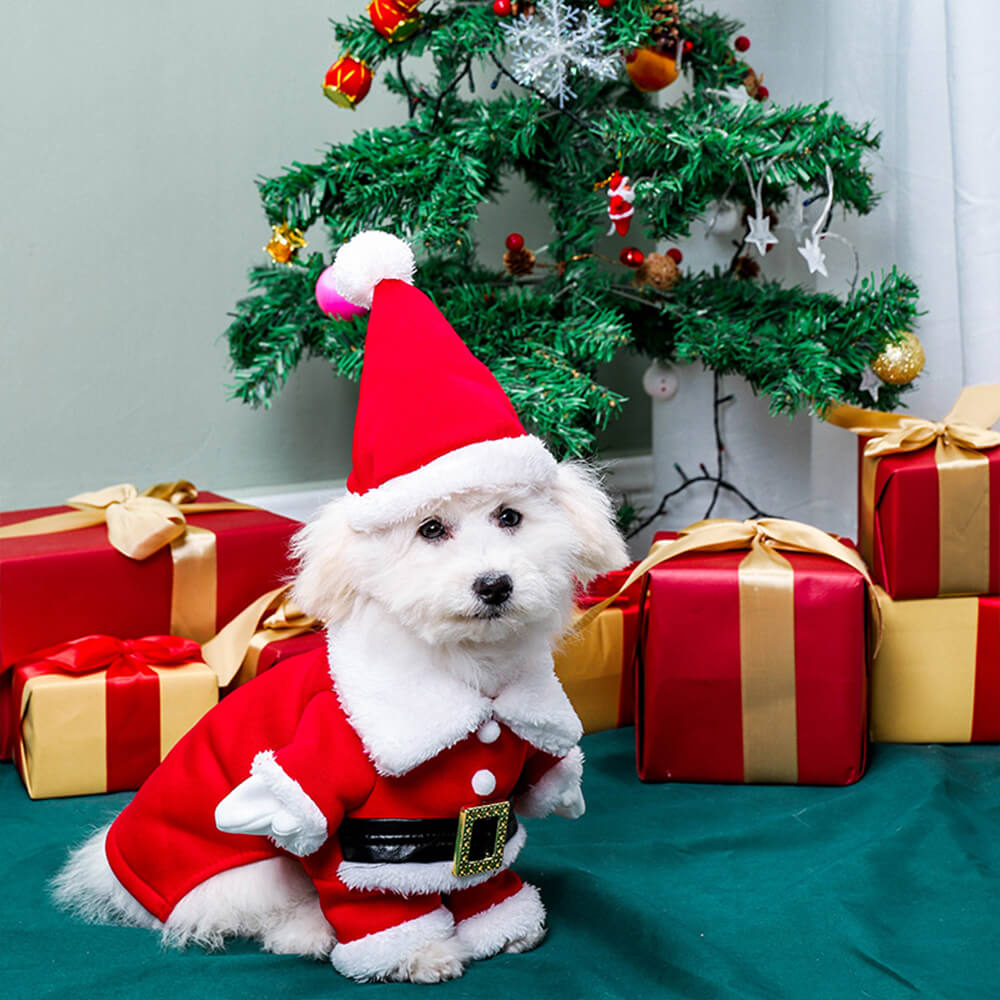 Stereoskopische Weihnachten Weihnachtsmann Outfit Hut Cosplay Hundekostüm