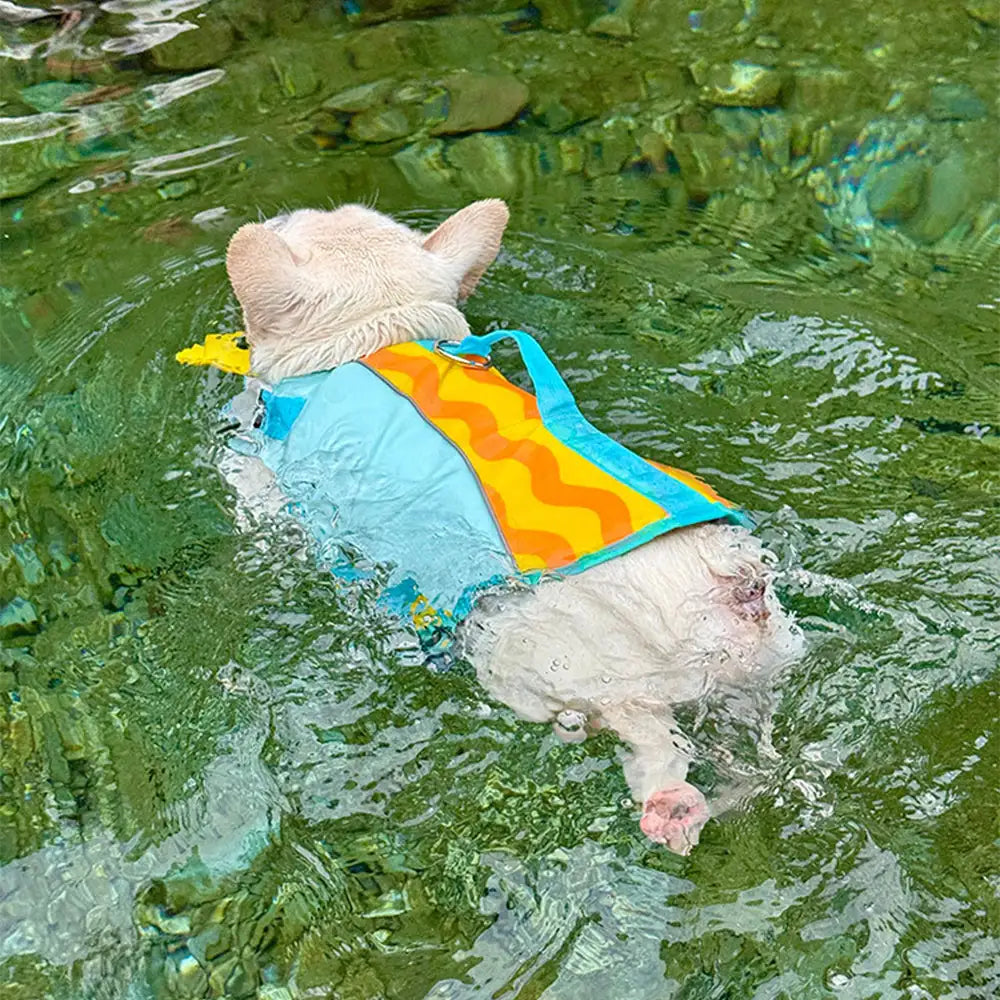 Stilvolle, farblich abgesetzte Hundeschwimmweste