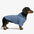 Stilvolle doppelseitige wendbare winddichte Outdoor-Hundejacke