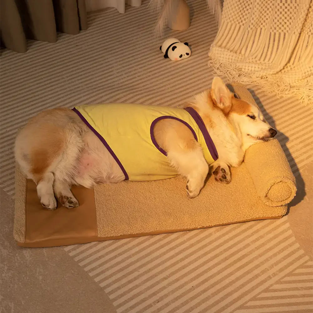 Teddy Fluffy Tiefschlaf Großes Raumkissen Hundebett - Honig Bernstein