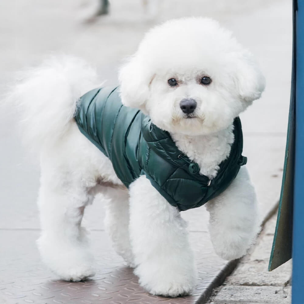 Trendy Leichte Warme Hundeweste mit Kapuze und D-Ring-Leine