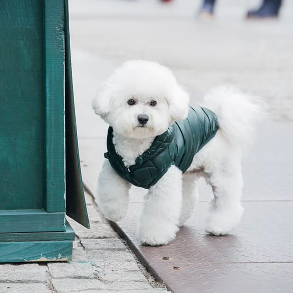 Trendy Leichte Warme Hundeweste mit Kapuze und D-Ring-Leine