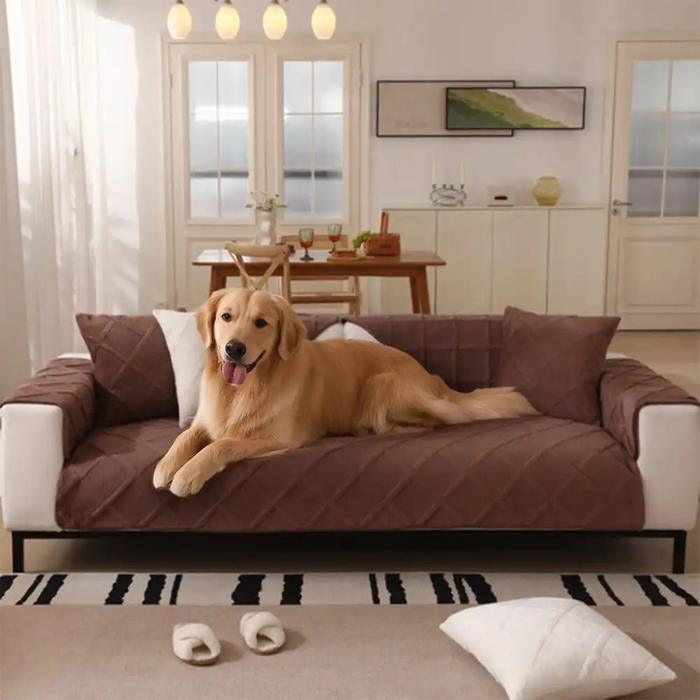 Samtweicher kurzer Plüsch Bezug für moderne Interieurs Couch