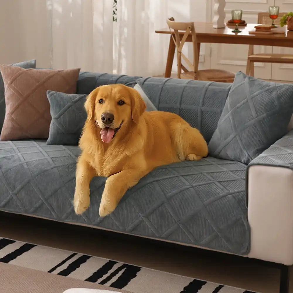 Samtweicher kurzer Plüsch Bezug für moderne Interieurs Couch