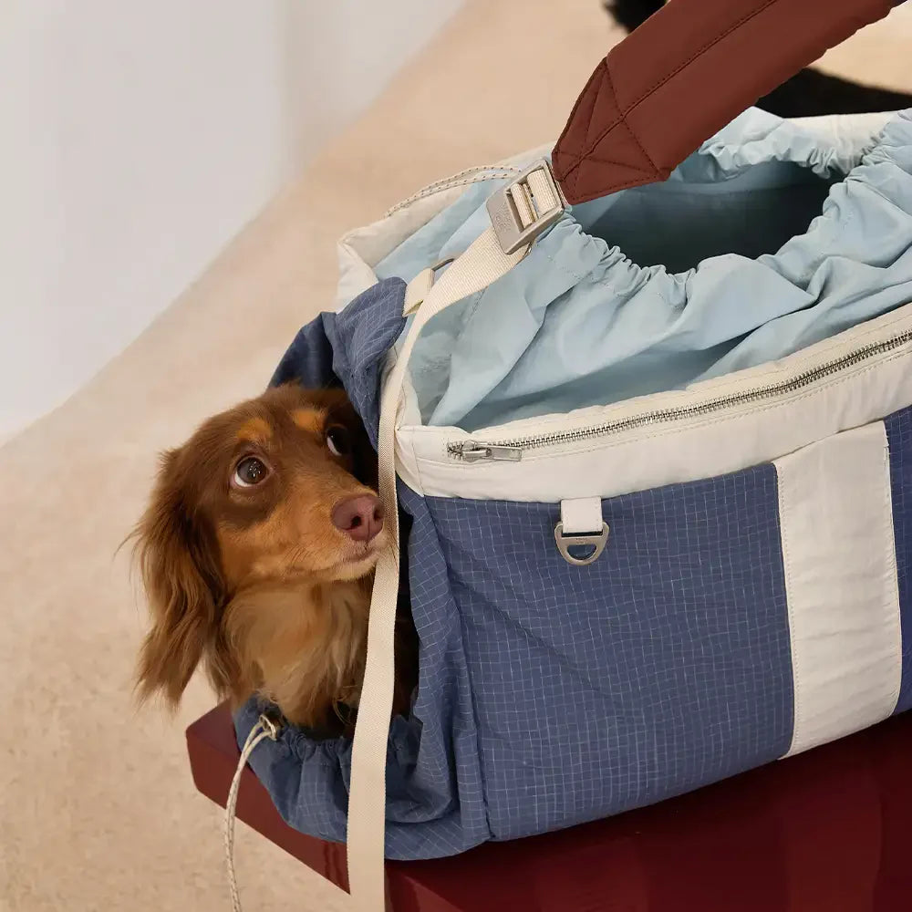 Vintage Breezy Outdoor wasserdichte große Tragepetschörbags