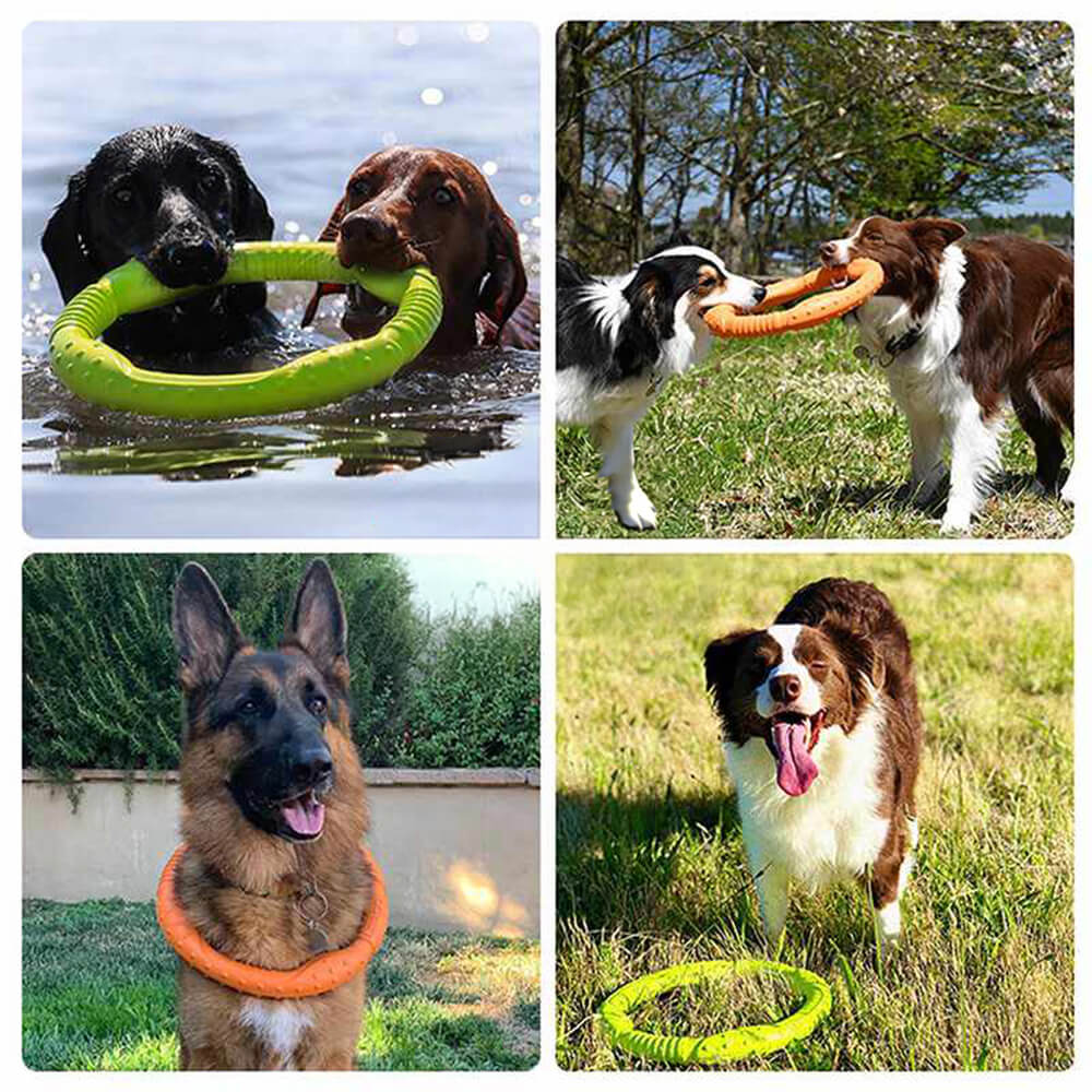 War Ring – Robustes Wasserdichtes Leichtes Flexibles und Interaktives Hundespielzeug