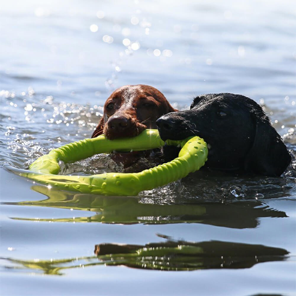 War Ring – Robustes Wasserdichtes Leichtes Flexibles und Interaktives Hundespielzeug