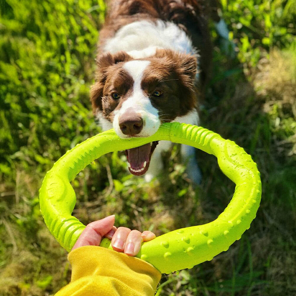 War Ring – Robustes Wasserdichtes Leichtes Flexibles und Interaktives Hundespielzeug